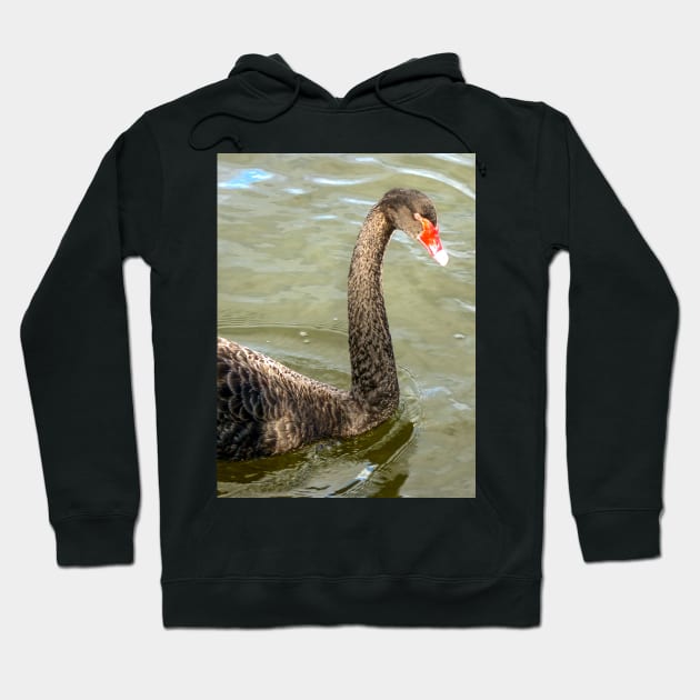 Black Swan Hoodie by Upbeat Traveler